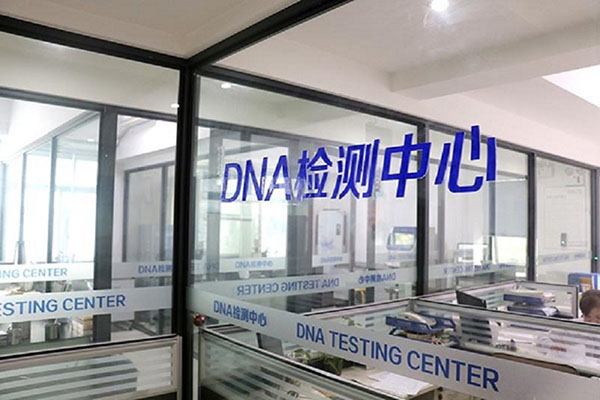 昌江快速获得DNA亲子鉴定检查报告（短时间内完成亲子鉴定检查报告） 